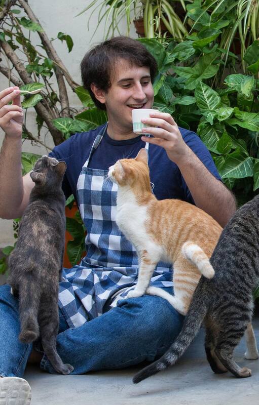 En Abasto, Cat Café solicita una reserva previa a través de redes sociales