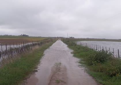 En abril pasado, las lluvias dejaron caminos rurales anegados en Nueve de Julio, con sectores intransitables