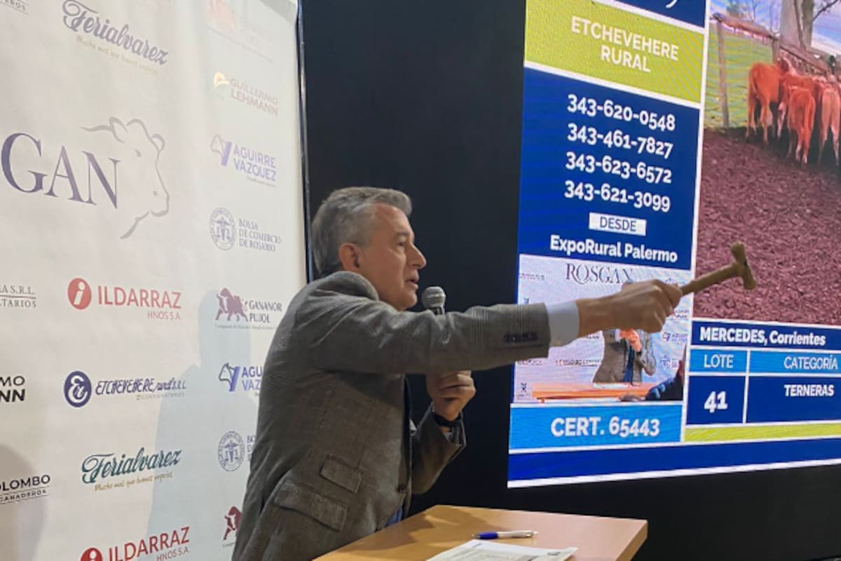 En acción, Luis Miguel Etchevehere, martillo en mano, remata en la Sala de Ventas en el predio de la Rural