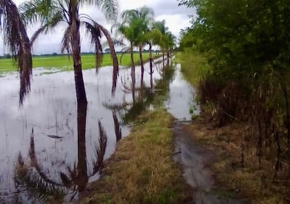 En algunas localidades, como La Madrid, el agua inundó sectores del pueblo y obligó a evacuar familias tras lluvias de gran intensidad