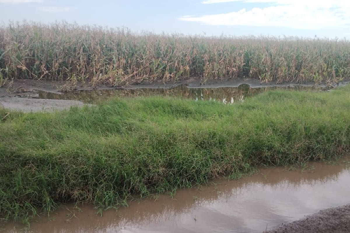 En algunas zonas de Junín, en la provincia de Buenos Aires, llovió hasta 60 mm