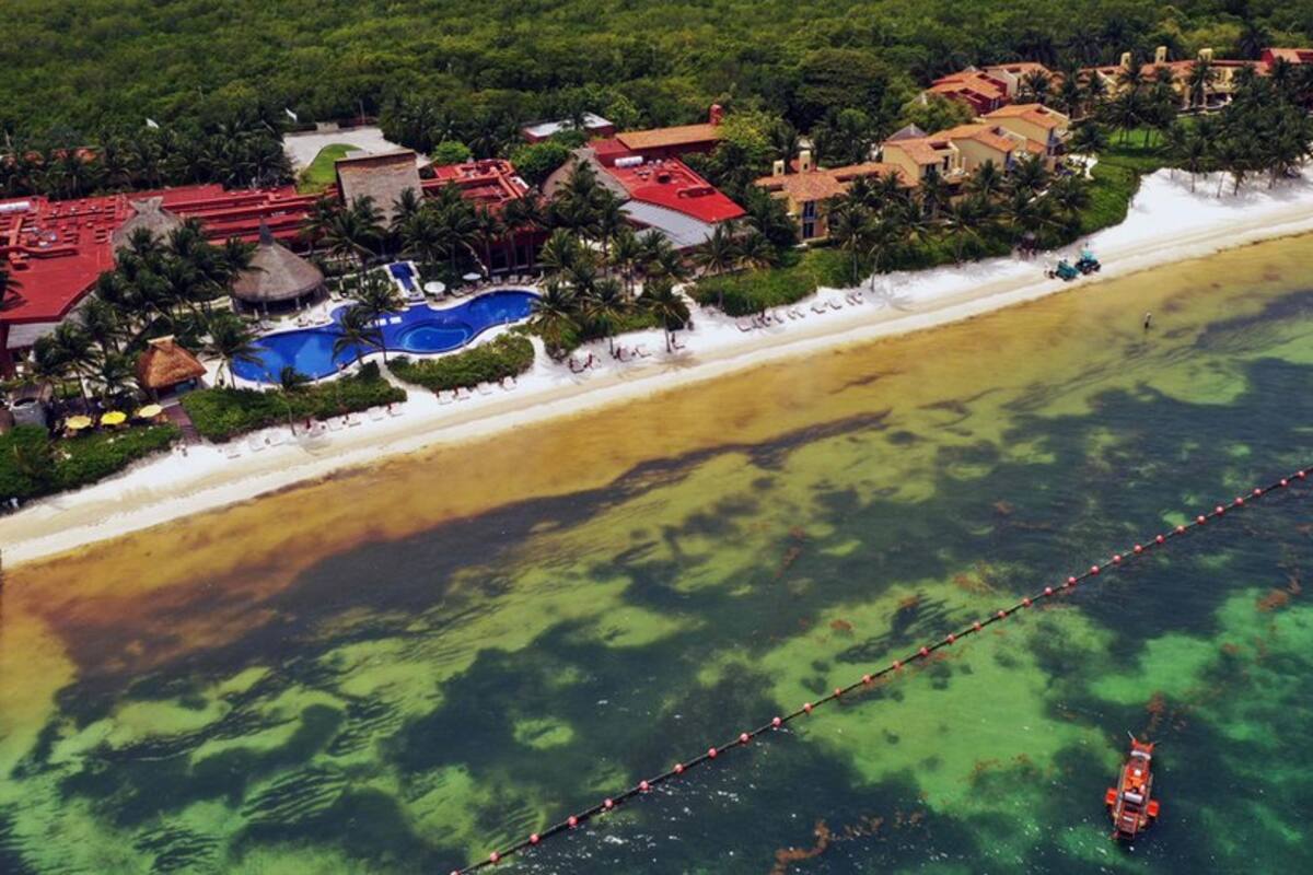 En algunas zonas la presencia de sargazo es menor, en parte por las barreras que colocan los hoteles mar adentro.