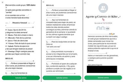 En algunos grupos de WhatsApp que promueven los TCA, existen reglas para ingresar, como compartir una foto del abdomen, contar que TCA se busca desarrollar y a qué pese se busca llegar