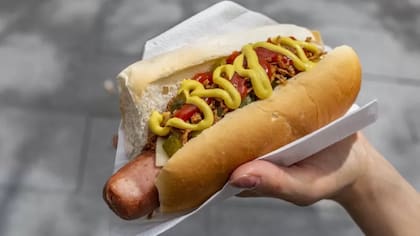En algunos países de América Latina se le llama jocho o pancho al Hot Dog (o perro caliente)
