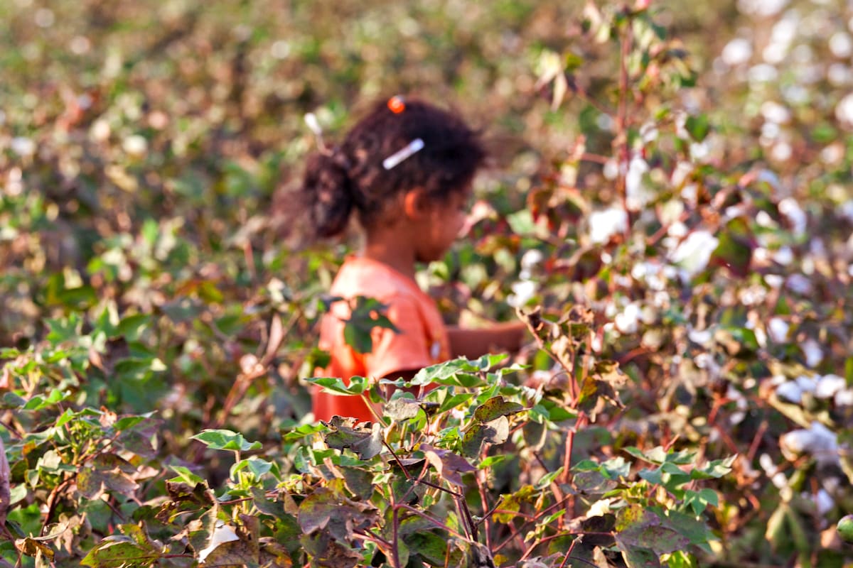En América Latina hay 12.5 millones de niños que trabajan