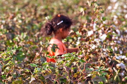 En América Latina hay 12.5 millones de niños que trabajan
