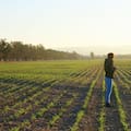 Las mujeres solo manejan dos de cada diez empresas agropecuarias