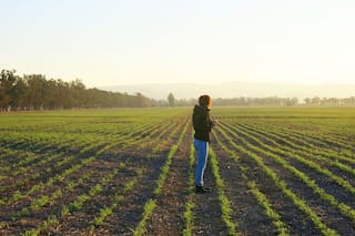 Las mujeres solo manejan dos de cada diez empresas agropecuarias