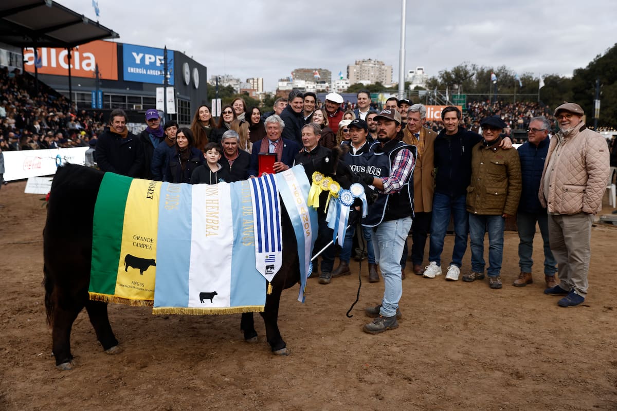 En Angus, el máximo galardón en Hembras quedó para el box 436, presentado por la cabaña La Rubeta