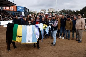 Hereford en machos y Angus en hembras consagraron a sus grandes campeones en una jornada de alto nivel genético