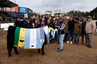 Hereford en machos y Angus en hembras consagraron a sus grandes campeones en una jornada de alto nivel genético
