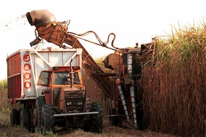 Para Sebastián Murga, titular de la Sociedad Rural de Tucumán, el escenario por la falta de gasoil es “más que delicado". Entre otras producción impacta sobre la recolección de la caña de azúcar