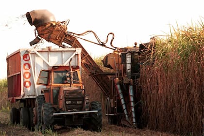 “Hemos vuelto a posicionar el azúcar orgánico, venderemos afuera unas 88.000 toneladas. Es un producto con demanda en alza”, indicó Feijoó.