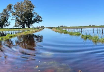 En Azul hay alrededor de 1800 kilómetros de caminos rurales, entre provinciales y municipales y representan un factor clave para la actividad