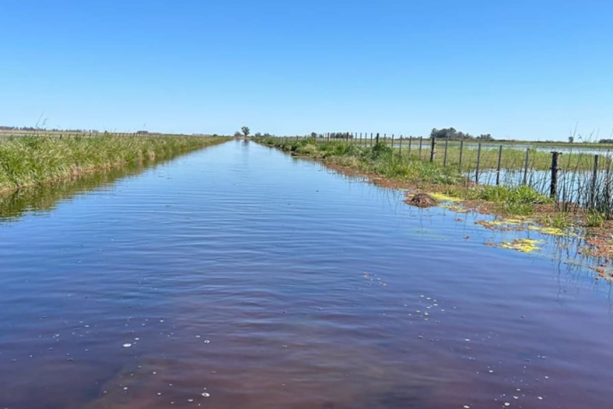 En Azul, los productores no pueden sacar la producción de sus campos