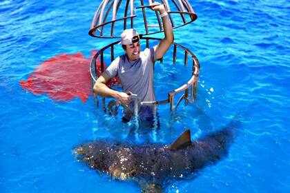 En Bahamas, el exingeniero Mark Rober arrojó sangre al mar para comprobar si los tiburones pueden olerla