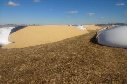 En Baigorrita, a Daniel Casella le destruyeron cuatro silobolsas con soja