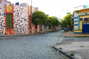 Es la calle más angosta de Buenos Aires y está en el corazón de Barracas
