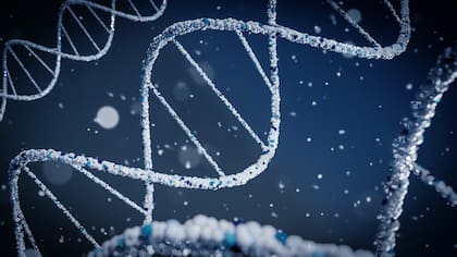 En base a estudios GWAS se calcula un número que expresa el riesgo de una persona de padecer una cierta enfermedad o de tener un cierto rasgo social o psicológico