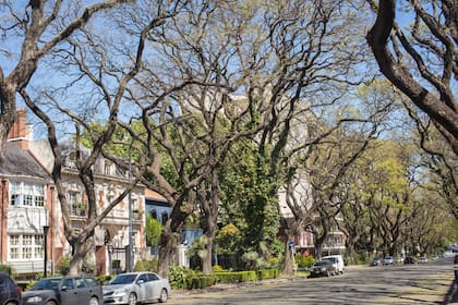 En Belgrano R, con casonas y calles arboladas, los valores del metro cuadrado se ubican entre US$2800 y US$4450