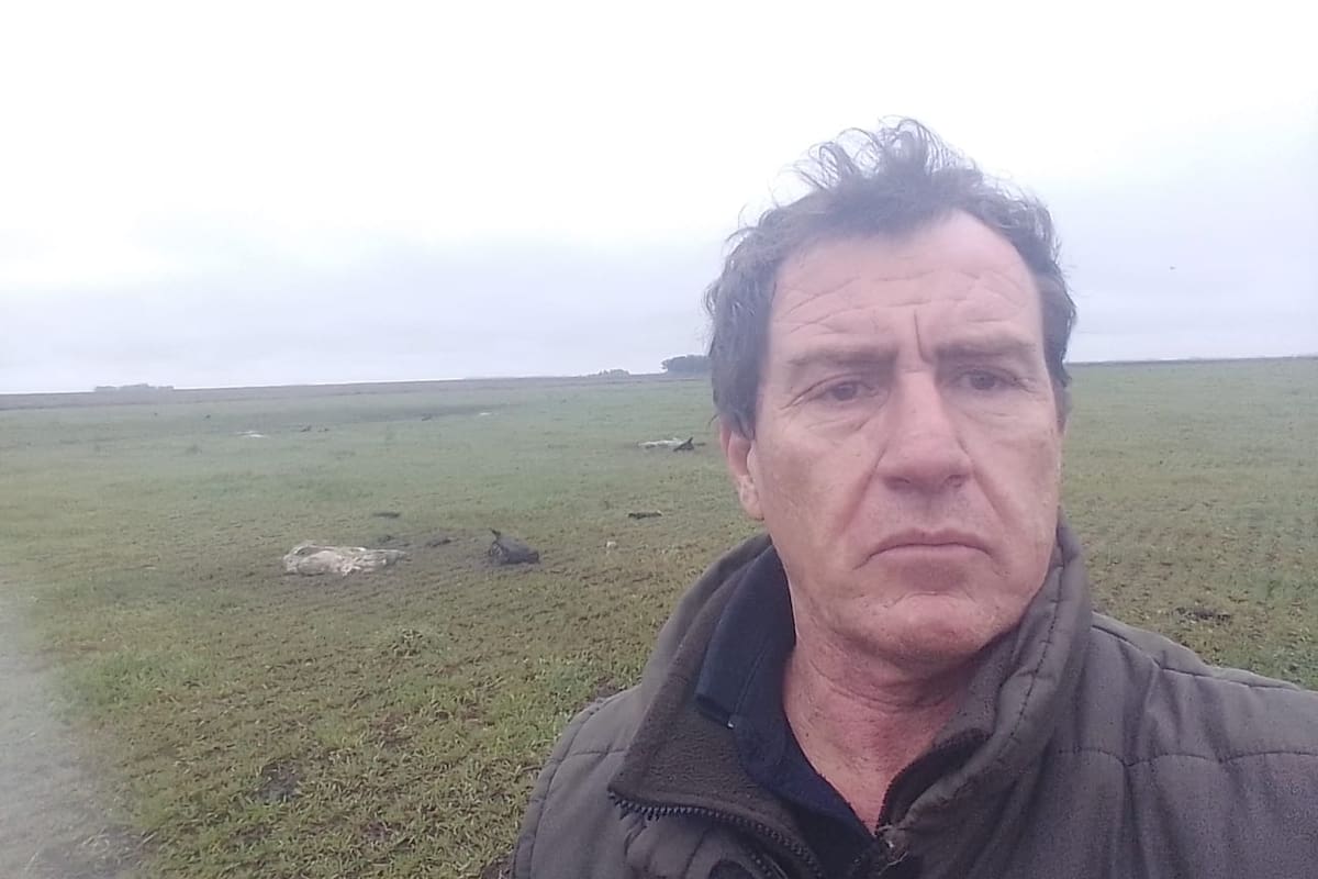 En Benito Juarez, el productor Federico Peón sufrió abigeato en varias oportunidades; dijo que ya no sabe qué hacer y a quién recurrir