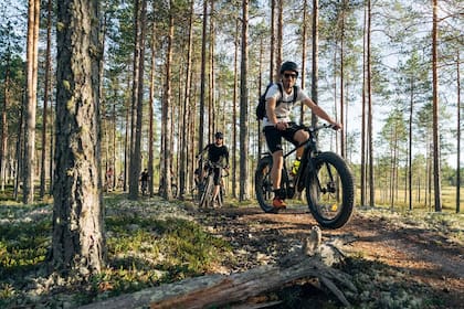 En bici por los bosques que rodean la ciudad