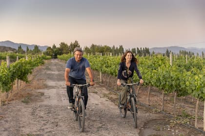 En bicicleta por el viñedo.