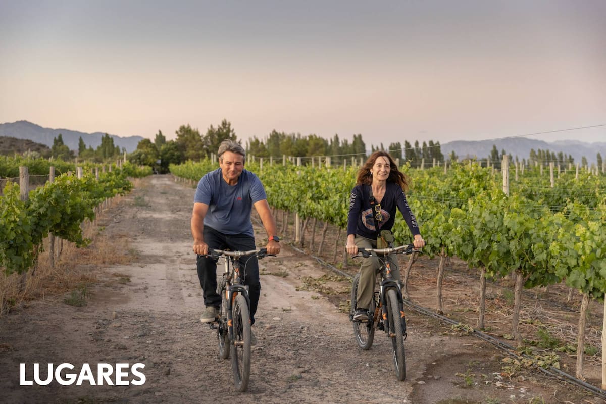 En bicicleta por los vieñedos