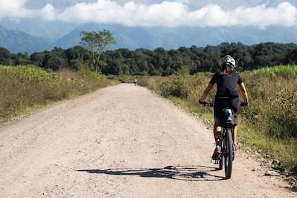 En bicicleta, una travesía desde la selva subtropical al Valle Calchaquí con tres cruces de la sierra, bajadas adrenalíticas y cuestas... interminables
