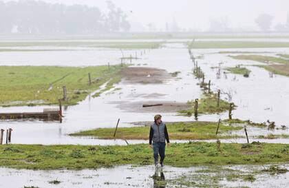 En Bolívar, luego de la inundación, pasaron a un período de sequía extrema. “Lo llovido fue secado a fuego fuerte”