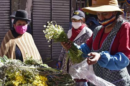 En Bolivia los contagios ingresaron a una fase imparable de cifras elevadas