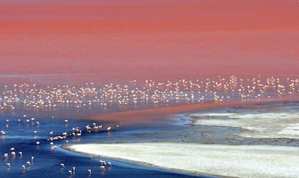 En Bolivia, los gobiernos de Evo Morales y Luis Arce han insistido en que el mineral debe estar bajo un completo control de Estado