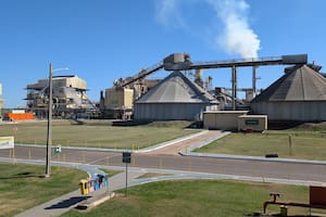 Cómo funciona uno de los principales polos agroindustriales del mundo