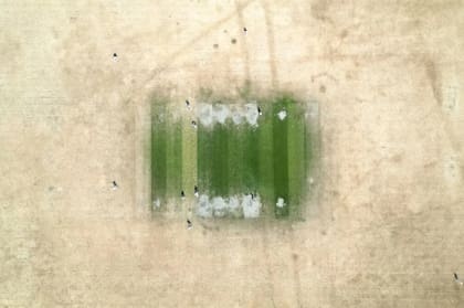 En Bray, un pueblo a orillas del río Támesis, al oeste de Londres, solo la cancha de cricket conserva algo de su verdor