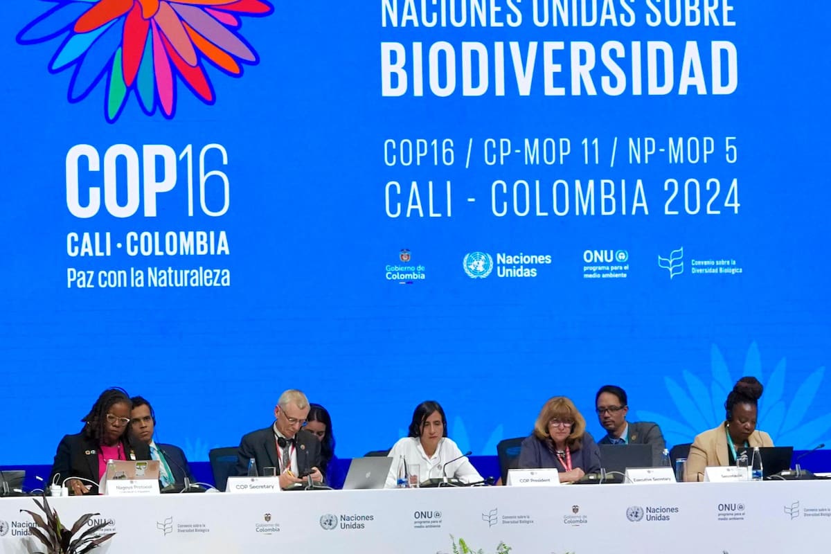 En Cali, Colombia, se desarrolla la Conferencia de las Naciones Unidas sobre Biodiversidad