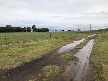 En Cañada de Gómez, Santa Fe, la marca de la lluvia. Foto Juan P. Ioele