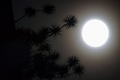 Cuáles son las distintas fases lunares en Argentina para el mes de junio 2025