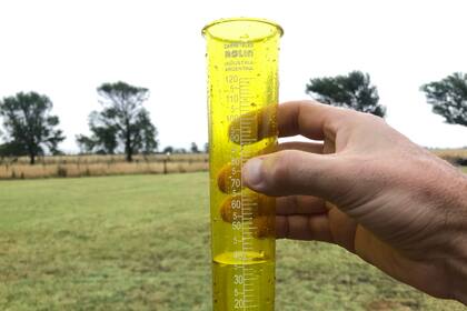 En Carlos Tejedor, provincia de Buenos Aires, hay campos donde llovieron hasta 100 milímetros