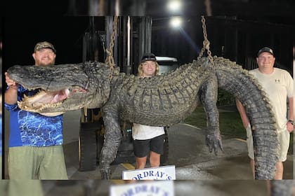 En Carolina del Sur, capturaron un cocodrilo gigante de casi cuatro metros de largo