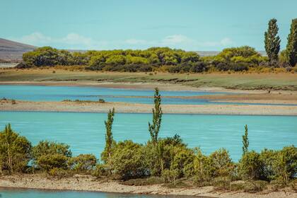 En Comandante Luis Piedrabuena esperan salmones chinook