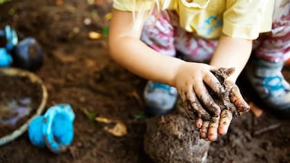 En comparación con los niños que juegan en un patio pavimentado, aquellos que lo hacen con suelo forestal presentan mayor diversidad microbiana en la piel, según un estudio