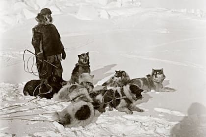 En condiciones extremas, Roal Amundsen y sus cuatro compañeros alcanzaron los 90° de latitud Sur, el punto austral del eje geográfico de la Tierra en 1911