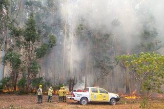 Controlaron los principales focos de incendios y rehabilitaron una ruta nacional
