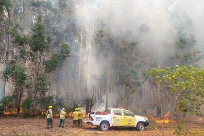 En Corrientes se registran temperaturas altísimas que dificultan el combate contra los incendios