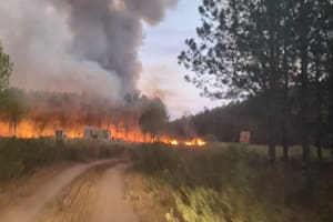 En Corrientes ya llevan quemadas unas 800.000 hectareas, un 10% de la superficie de la provincia