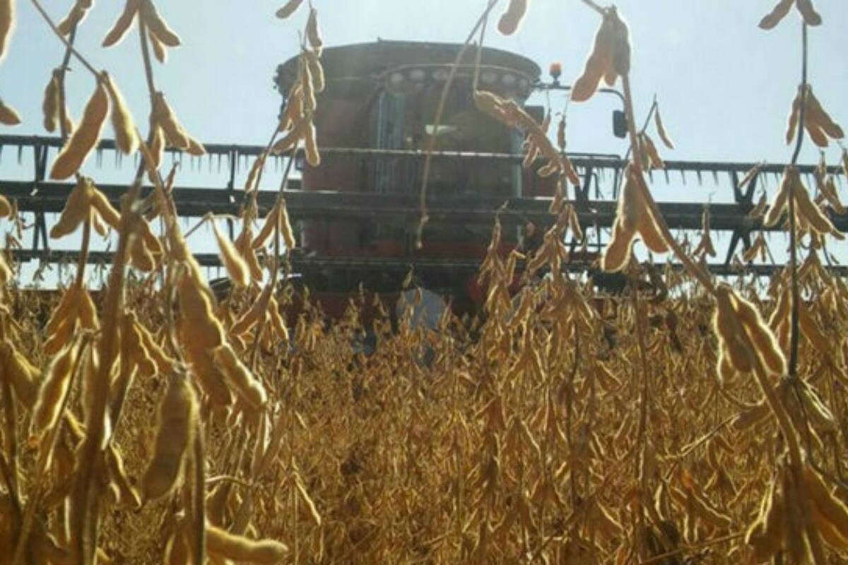 En cosechadoras el mercado bajó un 38% entre enero y agosto pasado