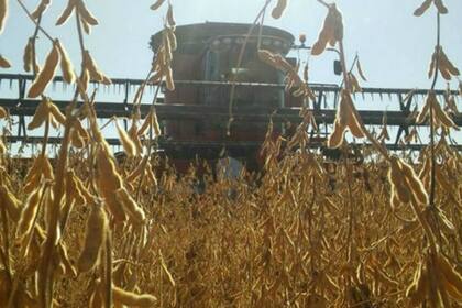 En cosechadoras el mercado bajó un 38% entre enero y agosto pasado