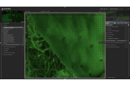 En crudo, la información que entrega el filtro de color del sensor
