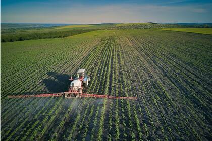 En cuanto a la composición del consumo de fertilizantes en 2023, informaron que “el 56% correspondió a productos nitrogenados, seguidos por los fosfatados con un 37%, los azufrados con un 3%, los potásicos con un 1% y un 2 % restante para otros grupos”