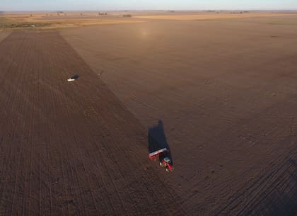 En cuanto al manejo de los cultivos, se tendrá la posibilidad de recorrerlos desde la oficina. A través de imágenes satelitales o de videos tomados con drones y con el uso de inteligencia artificial (AI) se podrá, por ejemplo, reconocer malezas y saber cómo controlarlas generando el menor impacto ambiental posible